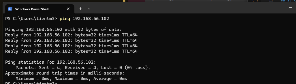 ping-vm-ip