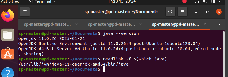 java-version